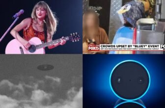 Taylor Swift’s Personal Jet Will Be Tougher to Observe Whereas Information About UFOs May Be Simpler to Get