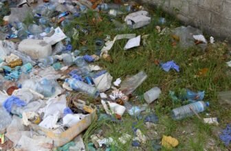 Scientists Discover Microplastics in Human and Canine Testicles