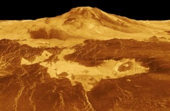 Contemporary Lava Flows on Venus Trace at Lively Volcanoes
