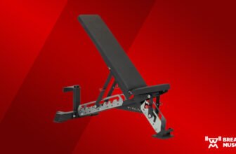 Titan Collection Adjustable Bench Assessment (2024)