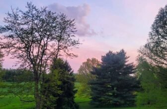 The Little Issues E-newsletter #416 – Life, laughter, and many nice meals!