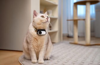 Insta360’s GO 3S is its new tiny wearable digital camera with 4K video