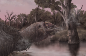 Meet the ‘Giga-Goose,’ a 500-Pound Ice Age Chook