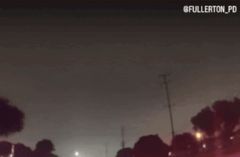 ‘Self-Driving’ Tesla Slams Into Cop Automotive in Orange County, California