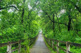 The Little Issues E-newsletter #419 – Life, laughter, and plenty of nice meals!