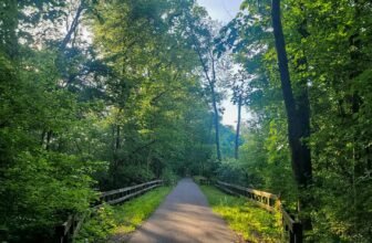 The Little Issues Publication #421 – Life, laughter, and many nice meals!