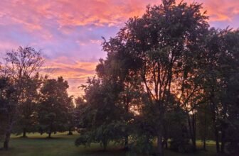 The Little Issues E-newsletter #423 – Life, laughter, and plenty of nice meals!