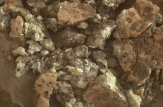 NASA’s Curiosity rover by accident uncovered pure sulfur crystals on Mars