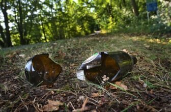 No Hyperlink Between Mild Consuming and Longer Life, Research Finds