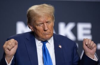 Meta Offers Trump Free Rein on Instagram, Fb Once more