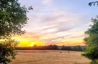 The Little Issues E-newsletter #424 – Life, laughter, and plenty of nice meals!