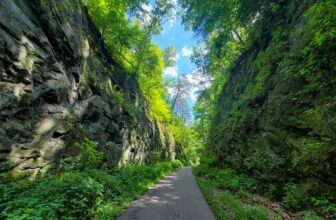 The Little Issues Publication #426 – Life, laughter, and plenty of nice meals!