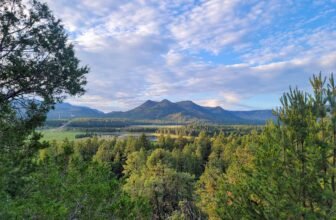 The Little Issues E-newsletter #427 – Life, laughter, and plenty of nice meals!