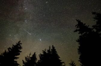 Triple Meteor Showers Set to Dazzle the Evening Sky Over the Subsequent Two Weeks