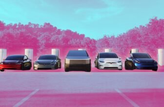 Tesla’s Mannequin S, Mannequin 3, Mannequin X, Mannequin Y, and Cybertruck in contrast