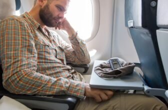 Somebody Made a Free ‘Rawdog Flight Simulator’ Video Recreation