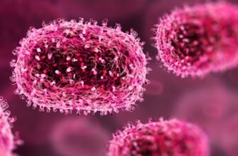 WHO Declares Mpox a International Well being Disaster. Right here’s What You Ought to Know