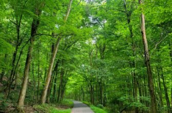 The Little Issues Publication #428 – Life, laughter, and many nice meals!