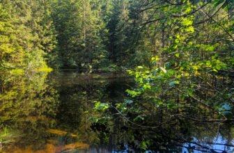 The Little Issues E-newsletter #430 – Life, laughter, and many nice meals!