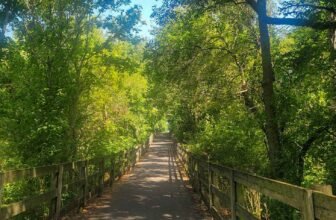 The Little Issues Publication #431 – Life, laughter, and plenty of nice meals!