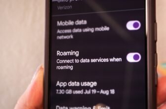 Reminder: Do not Go Roaming Abroad