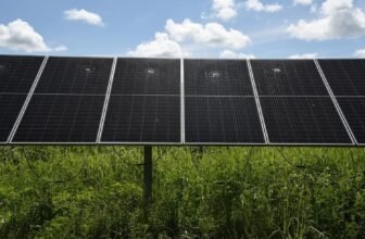Florida Man Arrested for Inflicting $700,000 in Injury at Photo voltaic Energy Facility