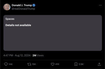 Elon Musk claims ‘huge DDOS assault’ delayed his reside stream with Donald Trump