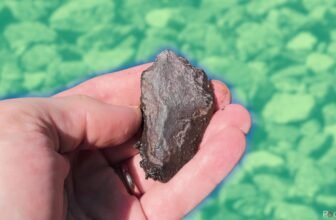 establish rocks together with your telephone