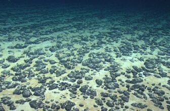 Essential Vote on Deep Sea Mining May Outline Ocean’s Destiny for Eons