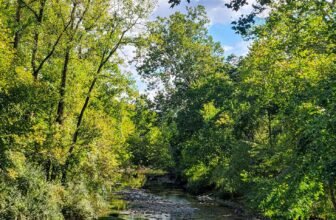 The Little Issues E-newsletter #434 – Life, laughter, and plenty of nice meals!