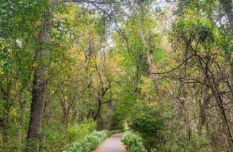 The Little Issues E-newsletter #435 – Life, laughter, and many nice meals!