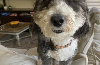 9.7 Friday Faves (and a giveaway)