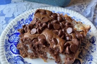 CHOCOLATE EARTHQUAKE CAKE – The Southern Woman Cooks