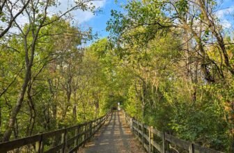 The Little Issues E-newsletter #439 – Life, laughter, and plenty of nice meals!