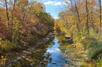 The Little Issues Publication #440 – Life, laughter, and many nice meals!