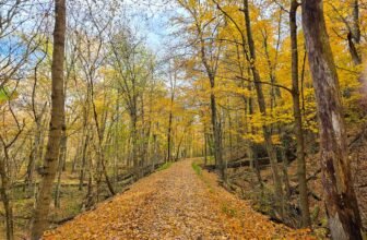 The Little Issues Publication #441 – Life, laughter, and plenty of nice meals!