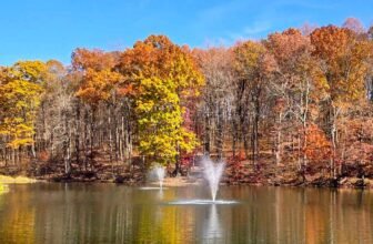 The Little Issues Publication #442 – Life, laughter, and many nice meals!