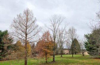 The Little Issues Publication #444 – Life, laughter, and plenty of nice meals!