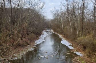 The Little Issues E-newsletter #446 – Life, laughter, and plenty of nice meals!