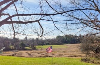 The Little Issues Publication #449 – Life, laughter, and plenty of nice meals!