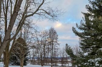 The Little Issues E-newsletter #450 – Life, laughter, and plenty of nice meals!