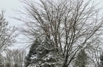 The Little Issues E-newsletter #451 – Life, laughter, and plenty of nice meals!