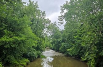 The Little Issues E-newsletter #480 – Life, laughter, and many nice meals!