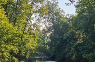 The Little Issues Publication #483 – Life, laughter, and plenty of nice meals!