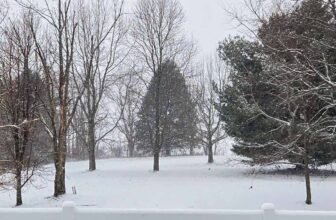 The Little Issues E-newsletter #499 – Life, laughter, and many nice meals!