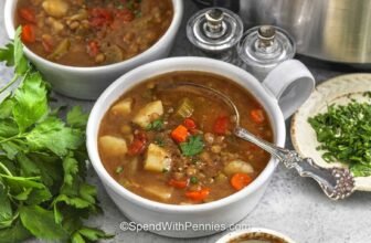 Sluggish Cooker Lentil Soup