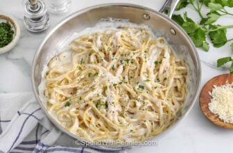 Cottage Cheese Alfredo Sauce